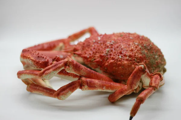 Énorme Crabe Araignée Cuit Isolé Sur Fond Blanc — Photo