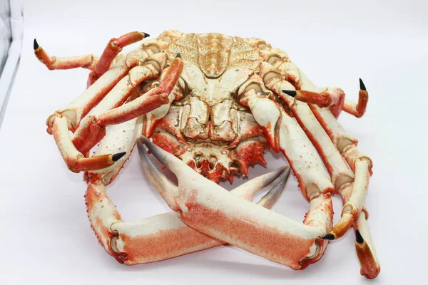 Crabe Araignée Cuit Sur Fond Blanc — Photo