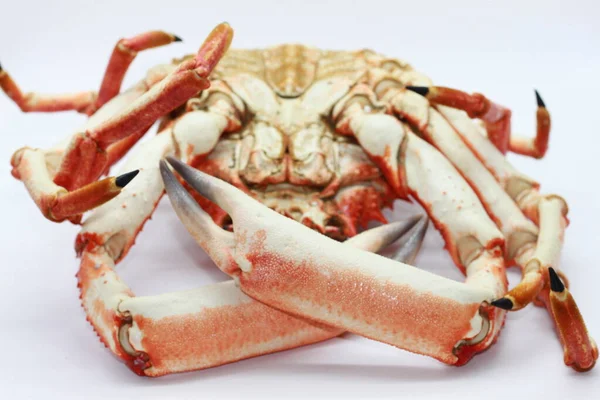 Crabe Araignée Cuit Sur Fond Blanc — Photo