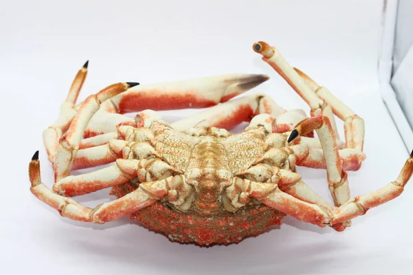 Crabe Araignée Cuit Sur Fond Blanc — Photo