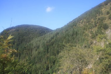 Bask ülkesinde Lareo yakınlarındaki Adarra 'da dağ manzarası
