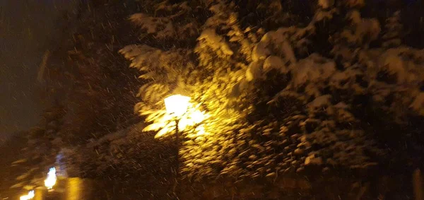 Chutes Neige Dans Ville Ordino Andorre Dans Nuit Décembre 2021 — Photo