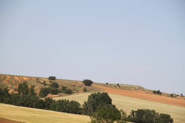 Haziran ayı ortasında İspanya 'da Castilla Leon' un kırsal alanlarının manzarası