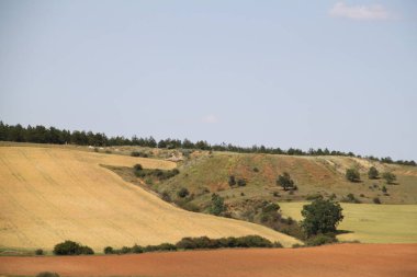 Haziran ayı ortasında İspanya 'da Castilla Leon' un kırsal alanlarının manzarası