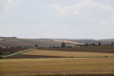 Haziran ayı ortasında İspanya 'da Castilla Leon' un kırsal alanlarının manzarası