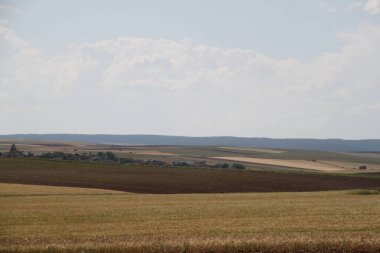 Haziran ayı ortasında İspanya 'da Castilla Leon' un kırsal alanlarının manzarası
