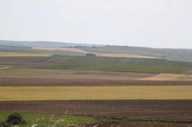 Haziran ayı ortasında İspanya 'da Castilla Leon' un kırsal alanlarının manzarası