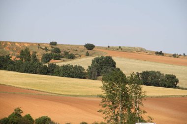 Haziran ayı ortasında İspanya 'da Castilla Leon' un kırsal alanlarının manzarası