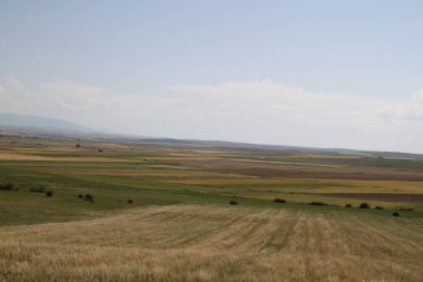 Haziran ayı ortasında İspanya 'da Castilla Leon' un kırsal alanlarının manzarası