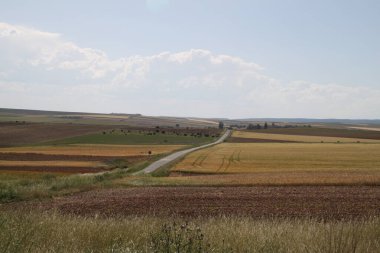 Haziran ayı ortasında İspanya 'da Castilla Leon' un kırsal alanlarının manzarası
