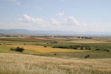 Haziran ayı ortasında İspanya 'da Castilla Leon' un kırsal alanlarının manzarası