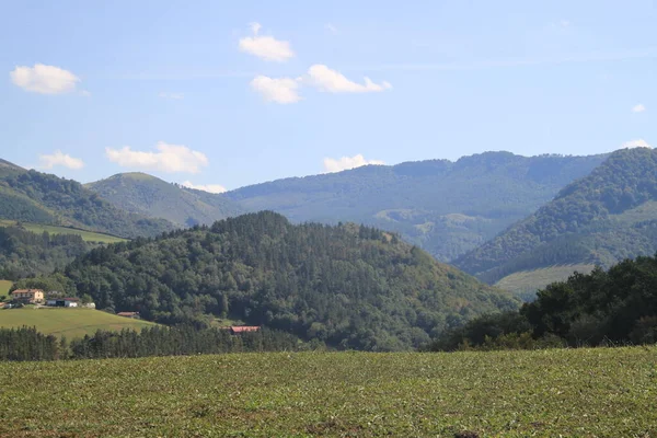 Paesaggio Delle Montagne Txindoki Gipuzkoa Paesi Baschi Nell Agosto 2021 — Foto Stock