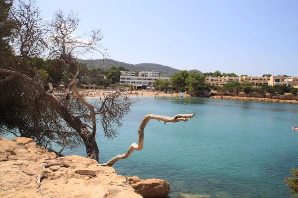 Ibiza Balearic Islands Spain August 2021 Landscape Coves Ibiza End — стокове фото