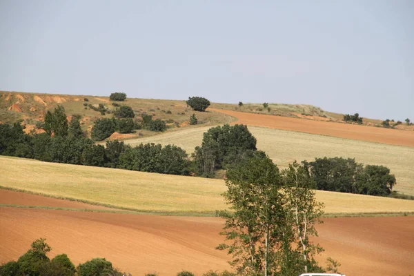 Haziran ayı ortasında İspanya 'da Castilla Leon' un kırsal alanlarının manzarası