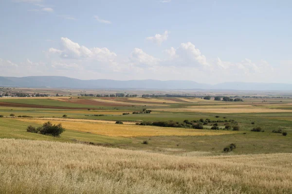 Haziran ayı ortasında İspanya 'da Castilla Leon' un kırsal alanlarının manzarası