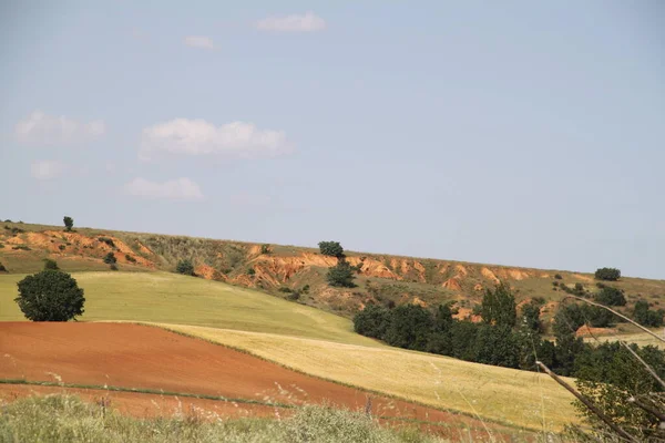 Vista Los Campos Rurales Castilla León España Mediados Junio — Foto de Stock
