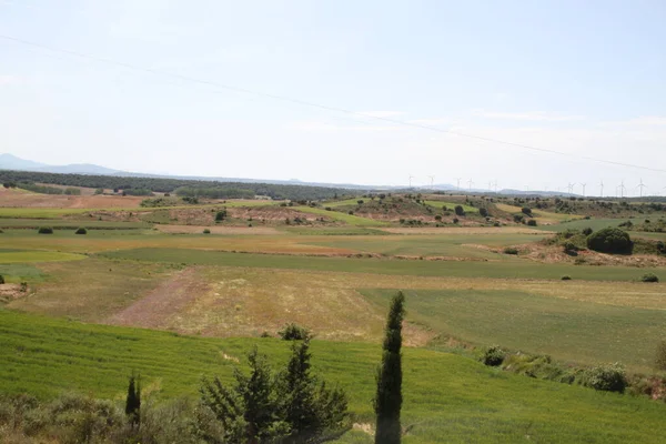 View Rural Fields Castilla Leon Spain Middle June — стокове фото
