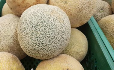 Pazarda satılık kavunlar