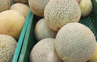 Pazarda satılık kavunlar