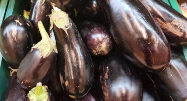 Pazarda satılık patlıcanlar