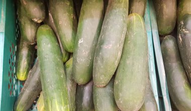 Taze yeşil salatalıkların makro fotoğrafı. Çanta fotoğrafındaki sebze salonları.