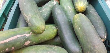 Taze yeşil salatalıkların makro fotoğrafı. Çanta fotoğrafındaki sebze salonları.