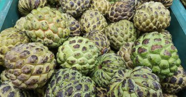 'Fruta do Conde ya da Pinha meyvesi' olarak bilinen egzotik Brezilya meyvesi. Bilimsel adı: Annona Squamosa.