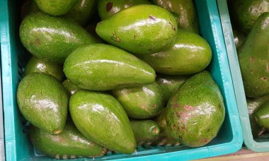 Güney Amerika, Brezilya 'da bir pazarda satılık avokadolar