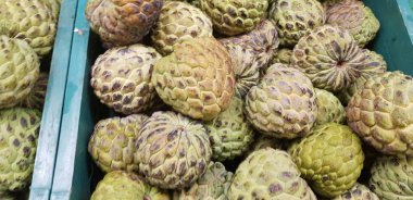 'Fruta do Conde ya da Pinha meyvesi' olarak bilinen egzotik Brezilya meyvesi. Bilimsel adı: Annona Squamosa.