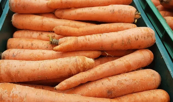 Lots Bright Orange Carrots — Fotografia de Stock