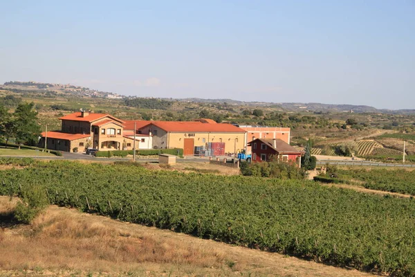 Campos Viñedos Para Producción Vino Rioja España — Foto de Stock