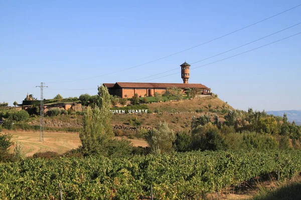 Campos Viñedos Para Producción Vino Rioja España — Foto de Stock