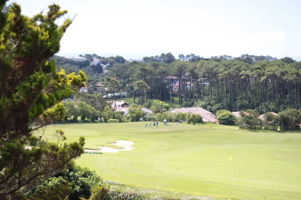 Landscape Golf Course Bidart Aquitaine France — стокове фото