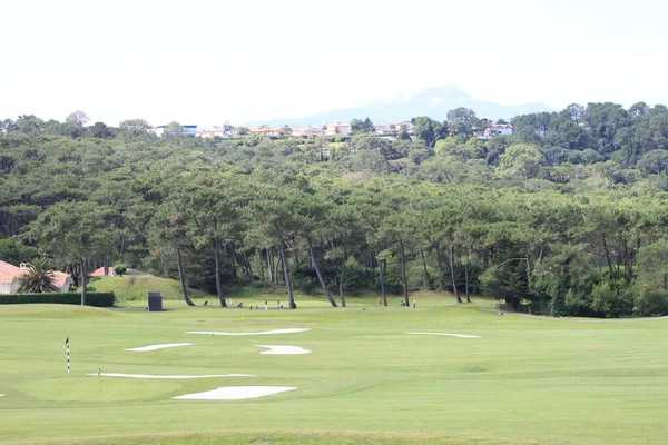 Landscape Golf Course Bidart Aquitaine France — стокове фото