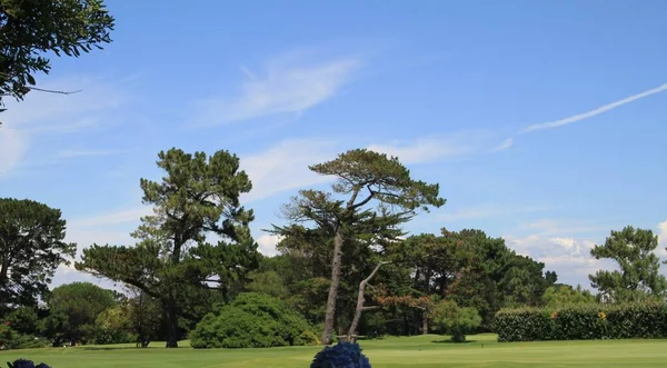 Landscape Golf Course Biarritz Aquitaine France — Fotografia de Stock