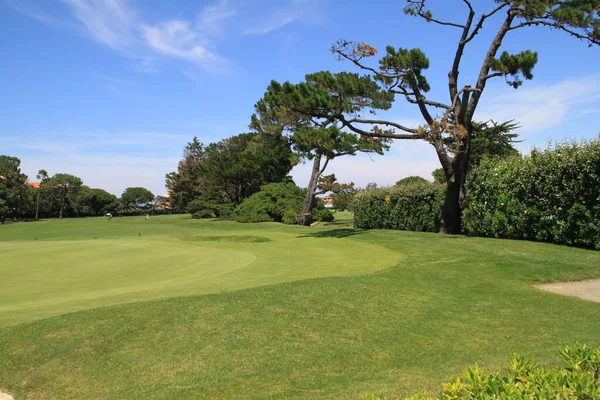 Landscape Golf Course Biarritz Aquitaine France — 图库照片