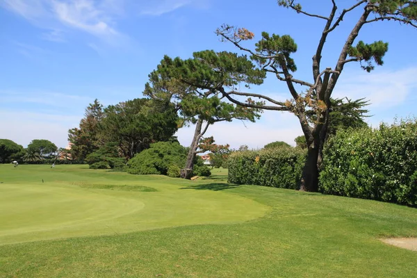 Landscape Golf Course Biarritz Aquitaine France — 图库照片