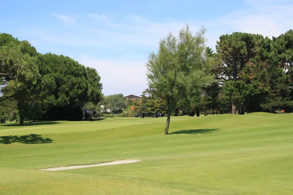 Landscape Golf Course Biarritz Aquitaine France — Foto Stock