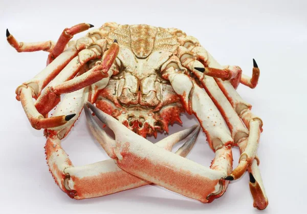 Aranha Frutos Mar Cozidos Caranguejo Estuário — Fotografia de Stock