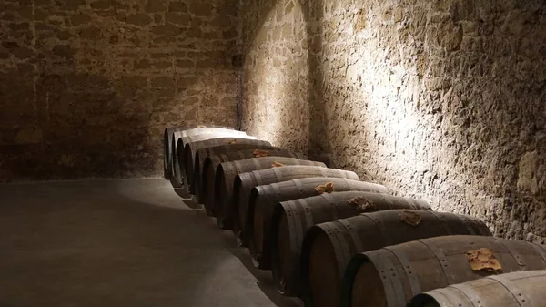 スペイン ハロ2022年1月7日 Cvne Bodega Wine Company Northern Spain — ストック写真