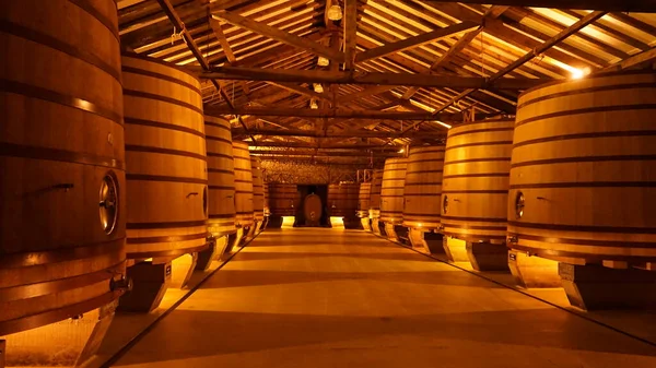 Haro Spain January 2022 Cvne Bodega Wine Company Northern Spain — стокове фото