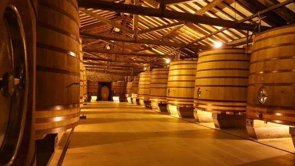 スペイン ハロ2022年1月7日 Cvne Bodega Wine Company Northern Spain — ストック写真