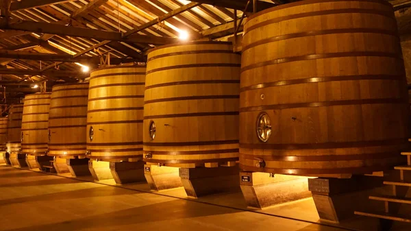 Haro Spain January 2022 Cvne Bodega Wine Company Northern Spain — ストック写真