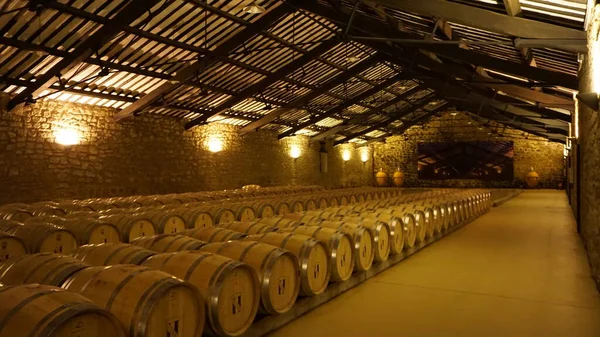 スペイン ハロ2022年1月7日 Cvne Bodega Wine Company Northern Spain — ストック写真