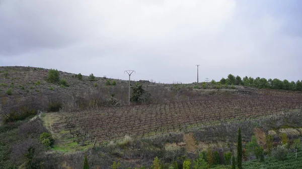 Elciego Espaa Enero 2022 Bodega Marques Riscal Lava Pas Vasco —  Fotos de Stock