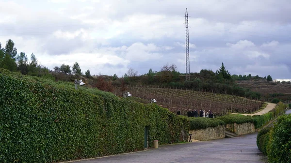 Elciego Espaa Enero 2022 Bodega Marques Riscal Lava Pas Vasco — стокове фото