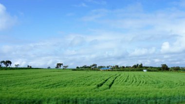 Kenya 'daki kırsal alanların bulanık görüntüsü, mavi gökyüzü ve beyaz bulutlu yeşil alanlar