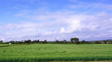 Kenya 'daki kırsal alanların bulanık görüntüsü, mavi gökyüzü ve beyaz bulutlu yeşil alanlar