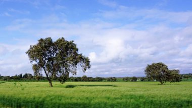 Kenya 'daki kırsal alanların bulanık görüntüsü, mavi gökyüzü ve beyaz bulutlu yeşil alanlar