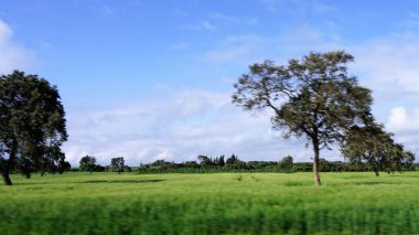 Kenya 'daki kırsal alanların bulanık görüntüsü, mavi gökyüzü ve beyaz bulutlu yeşil alanlar